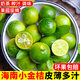 胖東來品質(zhì)海南小青桔金桔新鮮青檸檬青柑皮薄多汁當季水果整箱5 2斤 5-10g[優(yōu)惠試吃一級果]