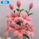 弗煙扭扭棒百合花束手工diy材料包加厚加密扭扭棒高顏值手工編織 【玉粉百合花】可做13朵含花心 百合花DIY材料包