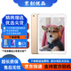 Apple 蘋果iPad 2017/2018/2019/2020款 二手平板電腦 二手平板 蘋果平板 ipad air2 插卡版 128G WiFi版 95成新