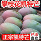 四川攀枝花凱特芒果當季新鮮大青皮芒果熱帶水果 9斤帶箱凈重8.5斤 單果250g起