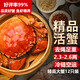 【活蟹】湖鮮陽(yáng)澄 大閘蟹 去繩足重 2.3-2.6兩 12只 鮮活六月黃現(xiàn)貨超大螃蟹水產(chǎn)禮盒裝