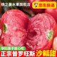 陜西涇陽(yáng)普羅旺斯西紅柿新鮮自然熟蔬菜草莓心水果當季沙瓤大番茄 精選普羅旺斯小果 5斤