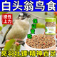 白頭翁鳥(niǎo)食北紅耳尾鴝混合鳥(niǎo)糧鵯類(lèi)幼鳥(niǎo)提性壯膘亮羽通用營(yíng)養飼料 500g 特惠體驗1包