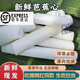 果坊情順豐現(xiàn)摘現(xiàn)發(fā)天然野生芭蕉心拉絲芭蕉心香蕉桿莖蕉莖干心包郵 實(shí)心主播同款拉絲1斤