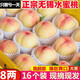 正宗無(wú)錫水蜜桃新鮮現摘水果桃子白鳳桃子陽(yáng)山鎮毛桃整箱 8顆 小果丨單果3.5-4兩丨試吃嘗鮮