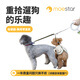 萌王星UFO寵物牽引繩狗雙頭中小型犬自動(dòng)伸縮狗繩遛狗繩防爆沖狗鏈用品 帶燈灰色雙頭牽引繩