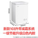 星星（XINGX）冰柜家用 一級節能 合金內膽電冰柜冷凍柜冷藏轉換柜小冷柜商用臥式 單溫銅管 自動(dòng)減霜合金內膽一級節能 103升