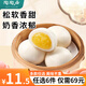 陶陶居早點(diǎn)廣式早茶早餐食品核桃包子餃子燒麥蝦餃半成品小籠包加熱即食 奶黃包337.5g【9個(gè)】