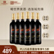 張裕先鋒世界之眼干紅葡萄酒整箱 烏迪爾雷格納法定產(chǎn)區 原瓶進(jìn)口紅酒