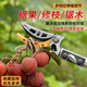美科（MYTEC）摘水果神器高空摘果伸縮桿高枝黃皮摘果器木瓜荔枝剪刀采摘剪桂圓 2段6擋2.3-4米【帶鋸片】