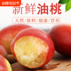 黃心油桃5斤大桃子新鮮水果當季整箱3水密桃黃肉孕婦蜜脆桃 3斤 凈重 單果120g+
