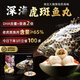 老羅家優(yōu)選【老虎斑魚丸】福州魚丸特產(chǎn)海捕包心無添加劑火鍋食材關(guān)東煮食材 三斤裝（新鮮日期真材實料送禮盒