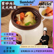 BAMBETEL班貝特德國(guó)品牌全自動(dòng)紫砂電燉鍋煲湯鍋煮粥神器插電養(yǎng)生鍋電燉盅 【預(yù)約定時(shí)款】2-4人 21cm 2.8L