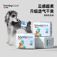 HONEYCARE好命家 狗狗紙尿褲公狗尿不濕安全褲 M適用體重6-10kg/12片3包裝 