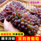 茉莉香葡萄東北現(xiàn)貨順豐冷鏈應(yīng)季新鮮水果孕婦郁金香甜無(wú)籽提子 順豐冷鏈專線 2斤特高品