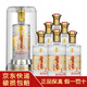 五糧液股份公司出品 一尊天下 52度濃香型白酒整箱 糧食釀造 收藏送禮 52度 500mL 6瓶 五糧液一尊天下經(jīng)典