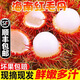 【順豐包郵】海南紅毛丹當季新鮮現摘毛荔枝毛丹果熱帶孕婦水果 老樹(shù)大果 2斤【實(shí)惠裝】順豐冷鏈