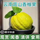 云南高山香櫞果食用聞香佛手柑清新空氣現(xiàn)摘當(dāng)季鮮果文玩擺件擺供 1斤食用果微瑕（1-2個(gè)果） 中通快遞（青黃隨機(jī)）
