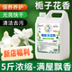 BIBK德國品質(zhì)拖地專用清潔液持久留香地板清潔劑官方旗艦店瓷磚不留水 梔子花香 一桶共5斤裝【溫和配方 孕嬰通用