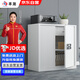 豐龍保密柜文件柜智能密碼鎖檔案柜辦公資料鐵皮柜憑證柜單節(jié)帶抽