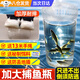 鋼化捉魚瓶神器兒童戶外親子釣魚撈魚倒須不漏抓小魚蝦籠蟹籠餌料 【鋼化捕魚瓶1個裝】 【2包魚食+1根12米線+1個地插】