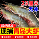 彩海 大蝦 國產(chǎn)青島大蝦 青蝦白蝦海蝦基圍蝦冷凍生鮮 蝦類(lèi) 海鮮水產(chǎn) 鹽凍大蝦 3.6斤(凈重)  17-23cm【單只凍 超大蝦王】
