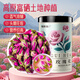 福東海 玫瑰花（蘭州苦水產(chǎn)區(qū)）花茶干花草茶玫瑰泡水養(yǎng)生花茶葉
