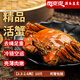 【活蟹】蟹爽爽六月黃大閘蟹鮮活去繩足重2.3-2.6兩10只超大螃蟹禮盒京東自營源頭直發(fā)