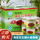建峰海苔花生罐頭120g寧波特產(chǎn)花生滸苔苔條苔菜花生米 海苔花生120g*5罐