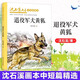 新華正版 退役軍犬黃狐書三四五六年級中小學(xué)生課外閱讀 書籍沈石溪畫本動物小說6-9-12周歲成長小說 湖北新華書店旗艦店
