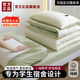 浪莎（langsha）大學(xué)生宿舍床上三件套床上用品1.5米x2米純棉床單被套罩單人床 奶昔白-綠【100%全棉面料】 0.9m 床笠款 三件套-被套150*200cm