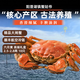 【活蟹】陽澄蟹姑爺大閘蟹鮮活大螃蟹可全母海鮮水產(chǎn)生鮮高端禮盒 【精品六月黃】2.8-2.5兩10只