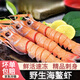 國產(chǎn)海鰲蝦特大號刺身級海鮮冷凍新鮮深海東海商用大鰲蝦海蝦水產(chǎn) 500g/盒國產(chǎn)海鰲蝦 450g(凈重)  19-22厘米【3-4只/盒】