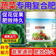 蔬菜專用肥料陽臺菜園瓜果種菜肥料番茄黃瓜綠葉菜通用有機(jī)肥料 蔬菜通用肥300克* 1罐 純正高效緩釋肥蔬菜通用肥