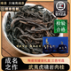 唯茶手工唯茶嚴選正宗虎嘯巖特級肉桂手工茶葉濃香型正巖坑澗肉桂送禮禮盒 絲路雙罐裝禮盒