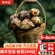 智田喜雅江松茸新鮮高品質(zhì)未開傘松茸菌菇野冷鏈空運(yùn)多地次日達(dá)生日送禮 未開傘松茸5-6cm 凈重 500g