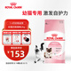皇家幼貓奶糕 幼貓貓糧 BK34 通用糧 1-4月 2KG