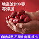 宅厚園 滄州紅棗特產(chǎn)小棗500克/袋 優(yōu)質(zhì)干棗益氣血泡水煮粥孕婦零食 500克 x2袋