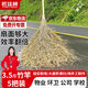 匠廷柯 竹子大掃把 竹掃把環(huán)衛(wèi)馬路物業(yè)學(xué)校工廠室外柏油道路地面清掃清潔 3.5斤竹竿款 5把