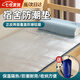 佐樂(lè )羅防潮墊宿舍單人地上睡覺(jué)專(zhuān)用墊戶(hù)外露營(yíng)鋁膜防水墊便捷野餐地墊子 【200*90cm】送收納袋