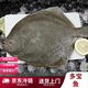 [京東冷鏈]新鮮活凍多寶魚海鮮比目魚海鮮冷凍水產(chǎn)批發(fā)清蒸魚紅燒 1-1.2斤/條【1條裝】 簡裝 500g 1條裝