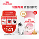 皇家幼貓貓糧 幼貓奶糕 K36 通用糧 4-12月 2KG