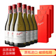 奔富（Penfolds）澳大利亞奔富（Penfolds）bin系列干白葡萄酒 BIN311霞多麗干白整箱裝