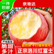 京地達蘋(píng)果水果洛川蘋(píng)果紅富士蘋(píng)果生鮮凈重8.5斤單果80mm+源頭直發(fā)包郵
