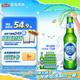 青島啤酒嶗山啤酒經(jīng)典小瓶裝316ml*24瓶整箱裝  