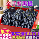 【順豐直達】現摘無(wú)籽藍寶石新鮮葡萄澳洲金手指黑美人拇指黑提子 1斤
