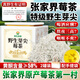 神農(nóng)金康野生莓茶100g特級野生張家界莓茶降茶三月新茶高山莓茶藤茶養(yǎng)生茶