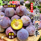 四川脆紅李青紅脫骨李子5斤新鮮脆甜當季水果青脆李茵紅李半邊紅R 3斤【帶箱精選】