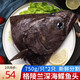 漁游記鰈魚(yú)格陵蘭比目魚(yú)深海鰈魚(yú)身去頭去尾超大碟魚(yú)比目魚(yú)鴉片魚(yú)蝶魚(yú) 超大 碟魚(yú)頭 2個(gè)/ 1.5kg