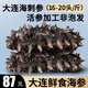 皇家麒麟 即食海參 即食大連刺參單個(gè)裝遼刺參海參干貨水產(chǎn)禮盒凈含量500g 7A鮮食海參 16-20只/斤 一斤裝